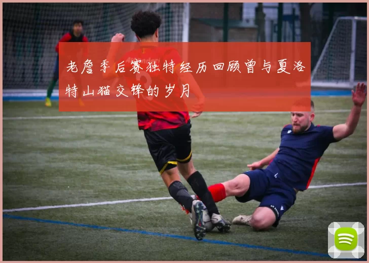 老詹季后赛独特经历回顾曾与夏洛特山猫交锋的岁月